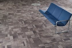 Birch_Bark_1000 Birch_Bark_1000