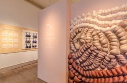 ThirdLoveConceptStore_CapriceJohnson_2_1200 ThirdLoveConceptStore_CapriceJohnson_2_1200