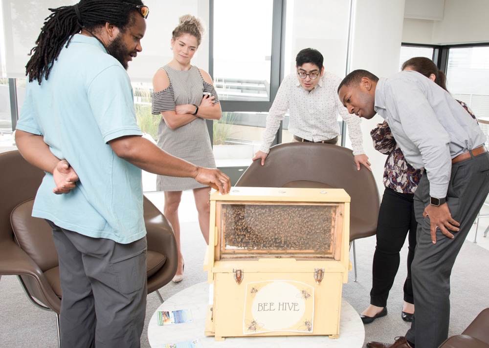 1652335912495 Beescharmcityconcierge 1200px