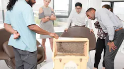 Bees-CharmCityConcierge_1200px