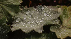 KeyColor1_1200