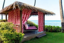 1652336126205 Canabis For A Cure 1652336126205 Canabis For A Cure