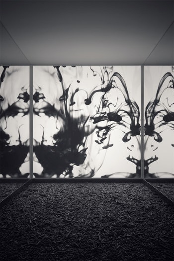 1652336166342 43 350