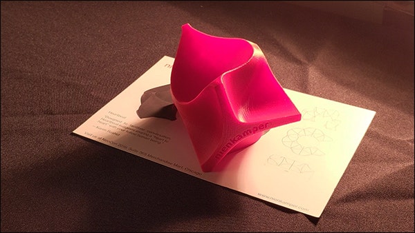 1652336553598 Curios Neocon Nienkamper