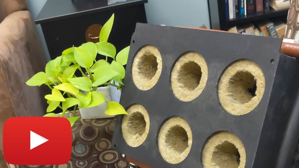 1652336798254 Mp Videopreview Yt