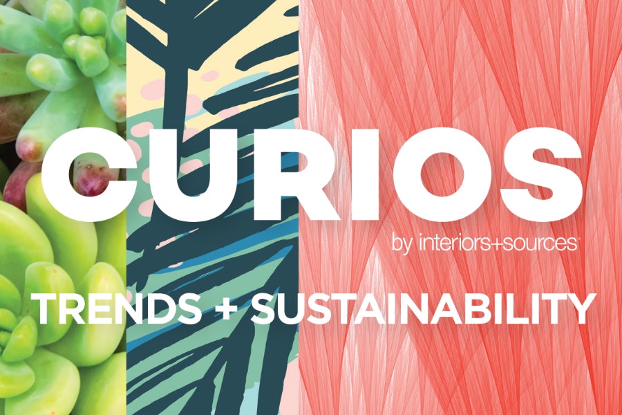 1652337022559 Curios 04 Apr19 Stickers 6x4