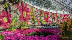 RBGS_2017_May-1-3500w