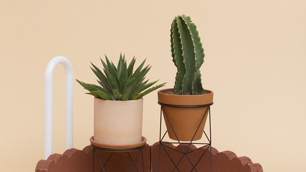 1652337240062 Amigomodern Is 1