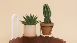 1652337240062 Amigomodern Is 1 1652337240062 Amigomodern Is 1