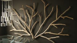 1652337398771 Frazier Cover Thumbnail 1652337398771 Frazier Cover Thumbnail