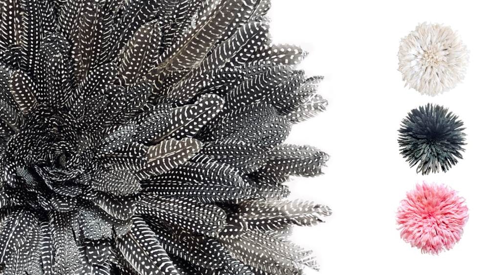 1652337412984 Jujuscombined