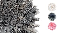 1652337412984 Jujuscombined 1652337412984 Jujuscombined