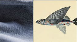 1652337680311 Flying Coral Fish Scaled 1652337680311 Flying Coral Fish Scaled