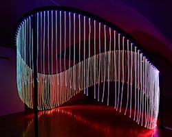 1652337995507 Flynn Talbot 1652337995507 Flynn Talbot