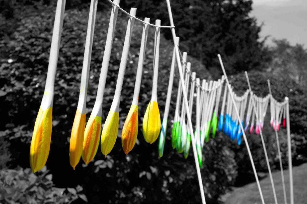 1652338294750 Seeing Rainbows