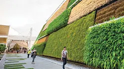 Green_Meetings_01_Credit_Eugenio_Marongiu