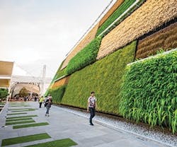 1652338448336 Green Meetings 01 Credit Eugenio Marongiu 1652338448336 Green Meetings 01 Credit Eugenio Marongiu