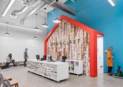 1652338490563 Emancipet 1652338490563 Emancipet