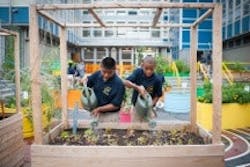 1652338671541 201508 Nancyborowick Garden 7 Hires Kids Students Watering Wateringcan Work 1652338671541 201508 Nancyborowick Garden 7 Hires Kids Students Watering Wateringcan Work