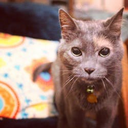 1652338804304 Cat2 1652338804304 Cat2