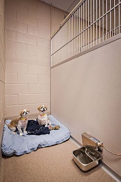 1652339197168 Olde2520towne Dog2520suite2520with2520automatic2520waterer 1652339197168 Olde2520towne Dog2520suite2520with2520automatic2520waterer