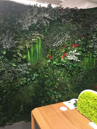 1652339252121 Greenmood1