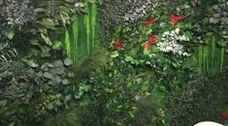 Greenmood1