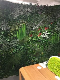 1652339252121 Greenmood1 1652339252121 Greenmood1