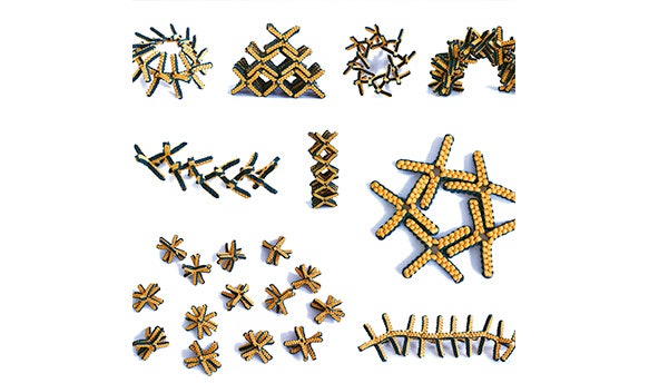 1652339626917 I 0419 Specifics Editors Softblockyuri