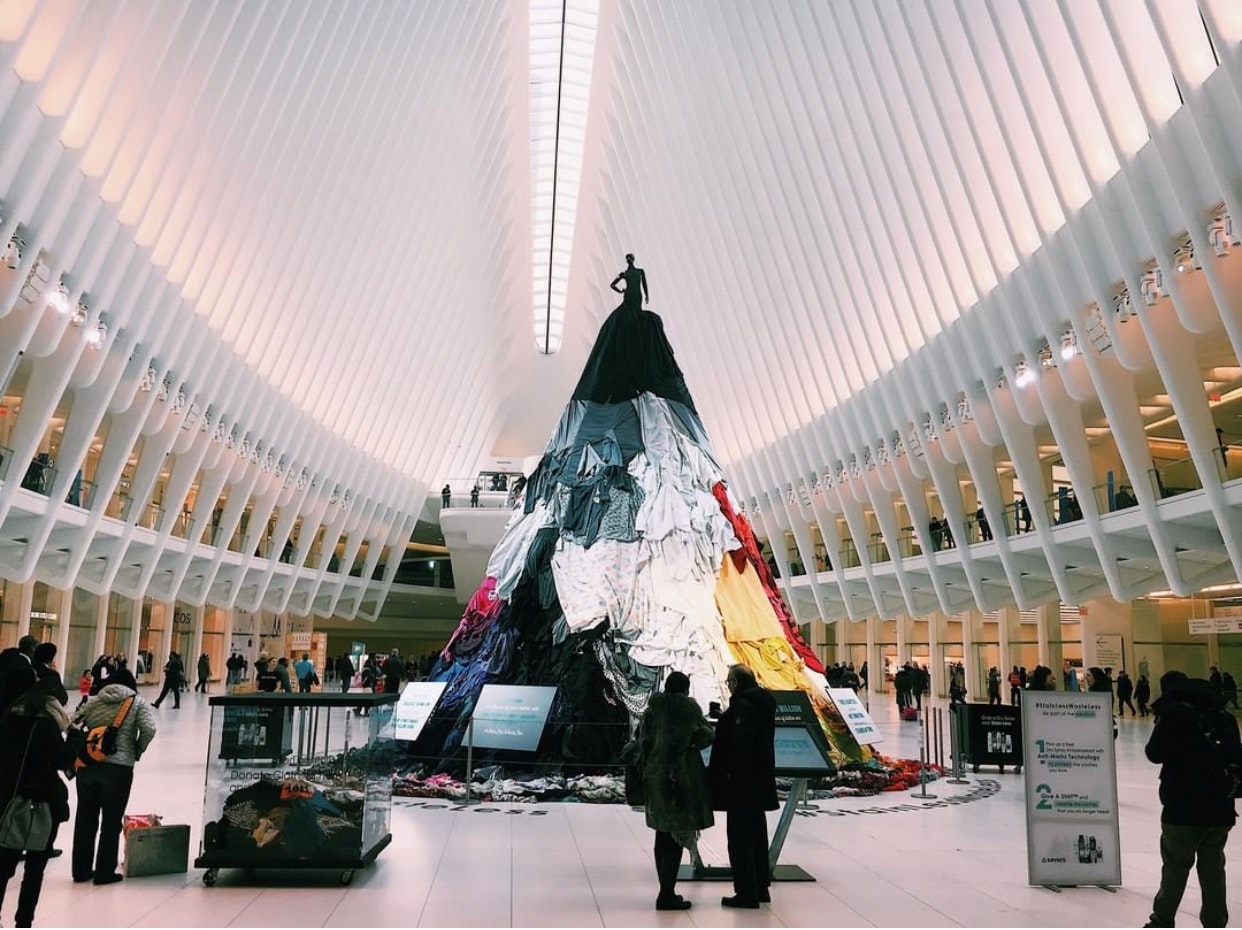 1652340665691 Img 2045