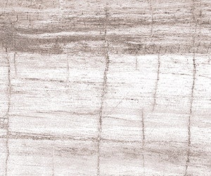 I_0617_Web_S_Releases_3