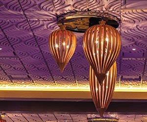 I_0617_Web_S_MtlsPvln_1