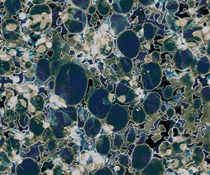 1652341544345 I 0717 Web S Carpet 3