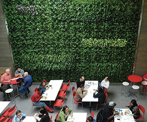 1652341584353 I 0717 Web S Releases 7