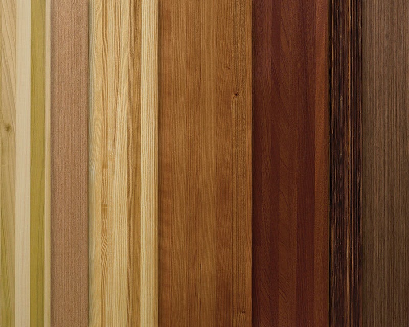 1652341658199 I 0417 Web Wallcvrg 1 Lg