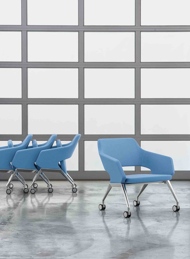 1652341714792 Aracdia