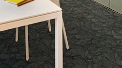 I_0917_Web_Flrg_6