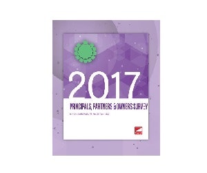 1652341945425 Principals Partners And Owners Survey Thumbnail