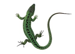 1652342085757 I 0617 Web Theory 1 Lg 1652342085757 I 0617 Web Theory 1 Lg