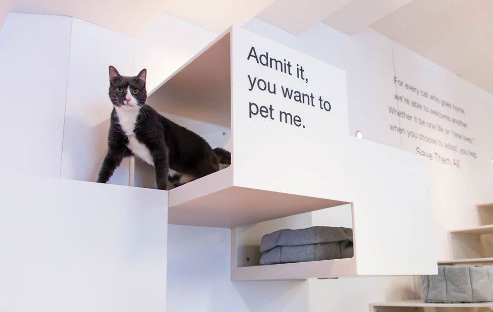 1652342103985 I 0617 Web Andnote 1 Lg