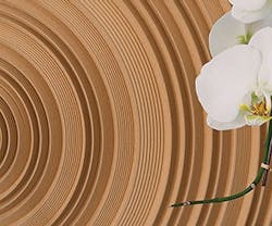 1652342107447 I 0617 Web Surfacing 2 1652342107447 I 0617 Web Surfacing 2