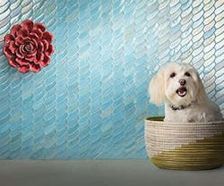 1652342108885 I 0617 Web Surfacing 5 1652342108885 I 0617 Web Surfacing 5