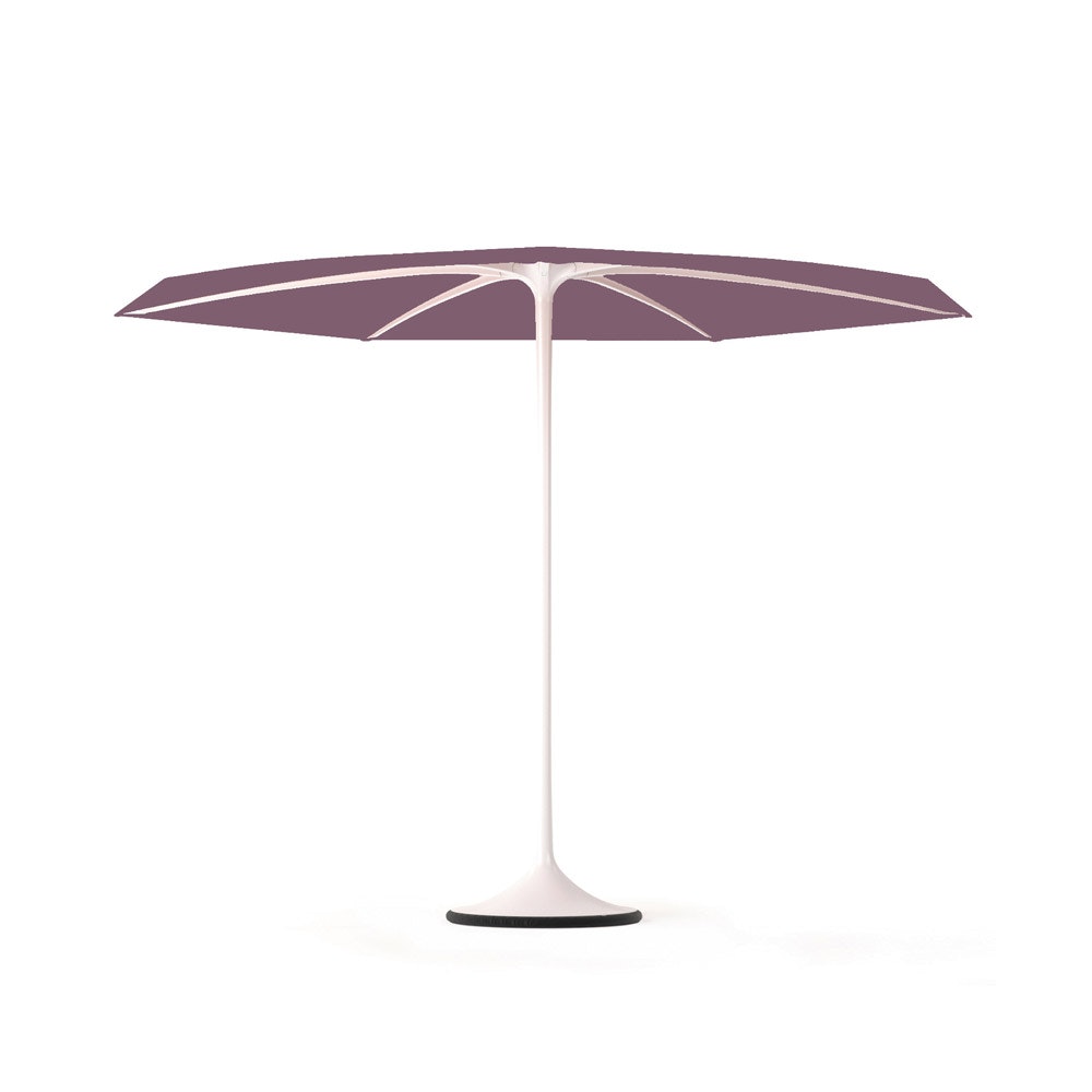 1652342131619 6 1 Royalbotaniaplm300wrviu