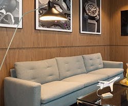 1652342180319 Treefrog 1652342180319 Treefrog