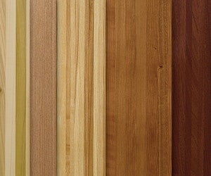 1652342263809 I 0417 Web Wallcvrg 1