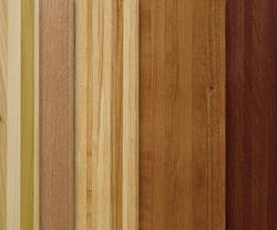 1652342263809 I 0417 Web Wallcvrg 1 1652342263809 I 0417 Web Wallcvrg 1