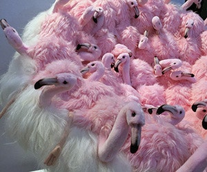 1652342270072 I 0417 Web Hpngsparis 1