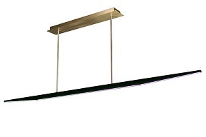 1652342346059 I 0317 Douglasfanning