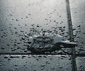 1652342445180 I 0317 Web Ceu 1