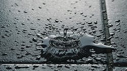 1652342445180 I 0317 Web Ceu 1 1652342445180 I 0317 Web Ceu 1